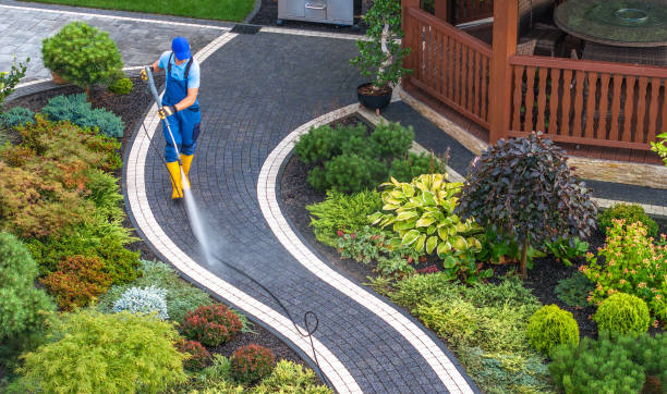 Best Affordable Pressure Washing  in Mount Carmel, PA